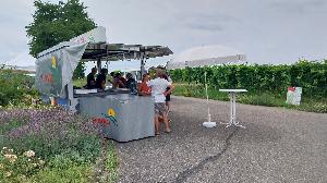 Freiburger Weinsommer vor Neuauflage